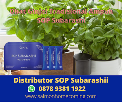 Obat Ginjal Tradisional Ampuh SOP Subarashi, WA 0878 9381 1922