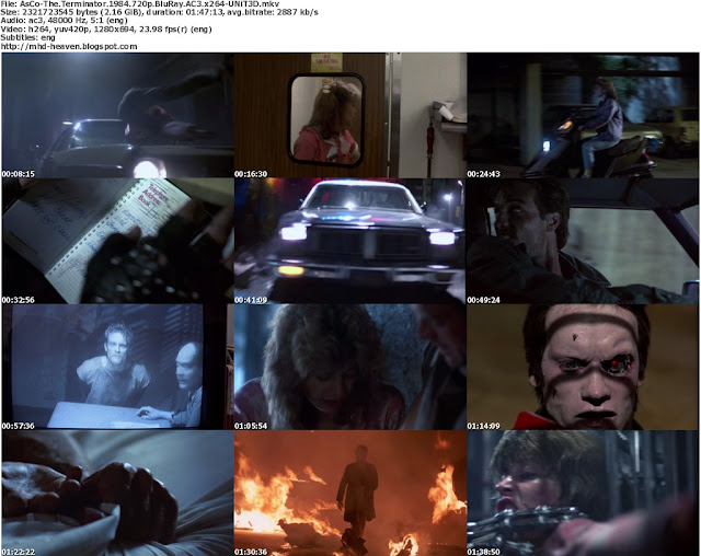 hd movies,mediafire,mf,rapidshare,rs,terminator,quadrilogy