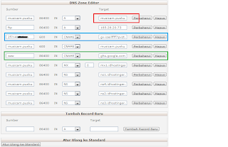 editor DNS