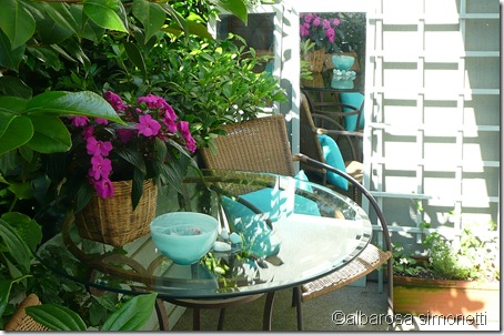 Patio 2011 012