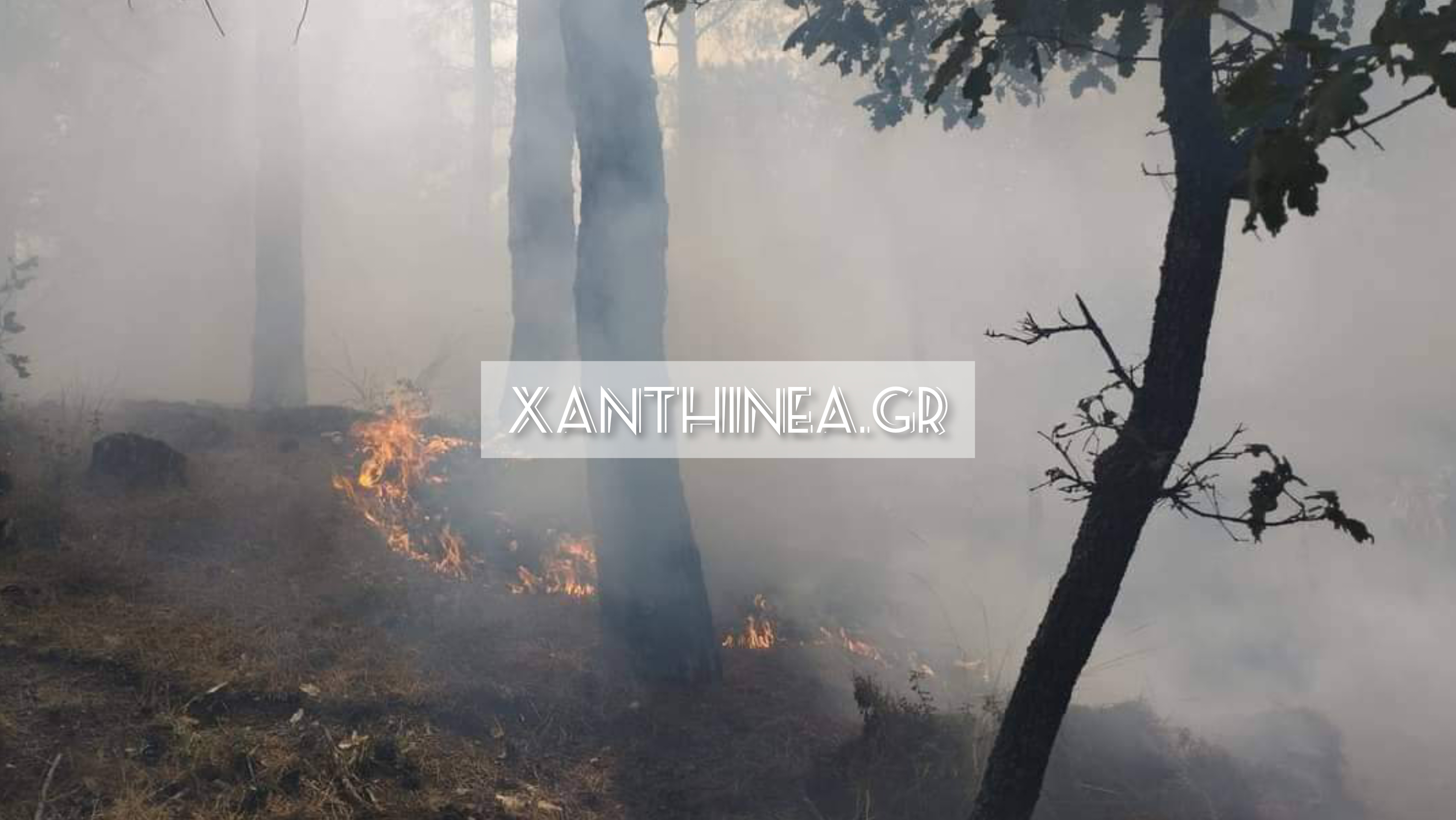 Υπό έλεγχο η φωτιά στην Κομοτηνή - Ίχνη παράνομων μεταναστών [ΦΩΤΟ]