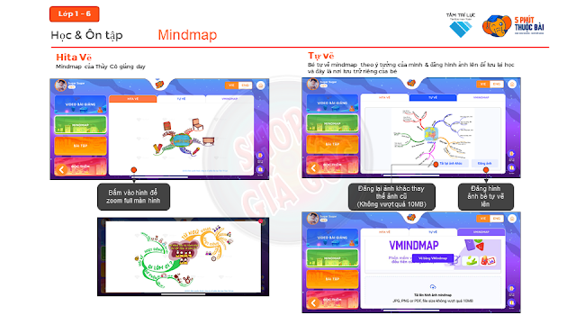 Mindmap từ lớp 1 - lớp 6