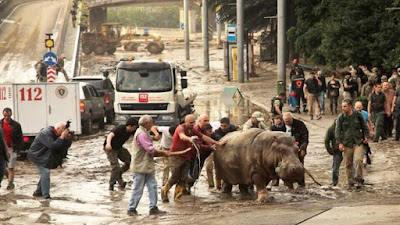 Ukraine is ready to provide assistance in the flood relief in Georgia