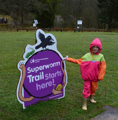 Superworm trail Kielder