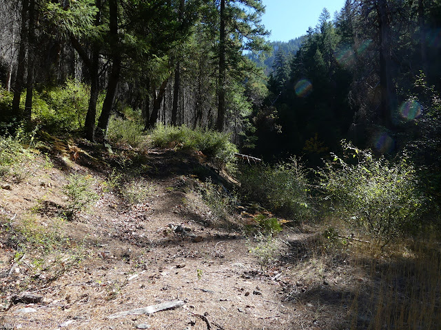 trail leaves the road