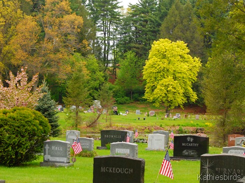 6. graveyard DSC_0013