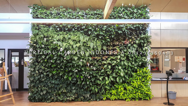 VERTICAL GARDEN INDONESIA SPESIALIS JASA PEMBUATAN VERTICAL GARDEN DI PATI JAWA TENGAH DAN DI SELURUH WILAYAH JAWA TENGAH DENGAN TENAGA YANG PROFESIONAL DAN DAPAT DI PERCAYA YANG SELALU MENGUTAMAKAN SEBUAH MUTU DAN KUALITAS PEMASANGAN VERTICAL GARDEN/TAMAN DINDING, JASA TUKANG TAMAN VERTICAL PATI JAWA TENGAH, JASA VERTICAL GARDEN PATI JAWA TENGAH