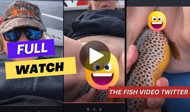 The Fish Video Twitter