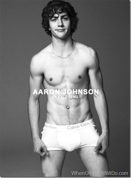 aaron_johnson_1244229325