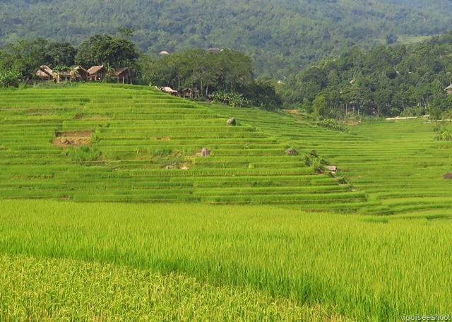 Hiking in PU Luong, near Kho Muong village