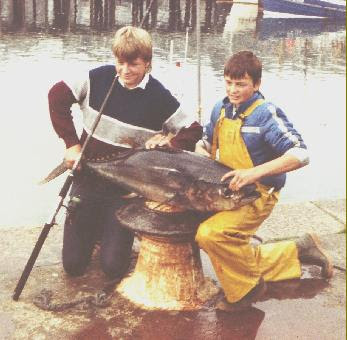 Anglers reel in 9ft-long 900lb tuna making it UK's 'biggest fish