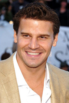 david boreanaz pictures