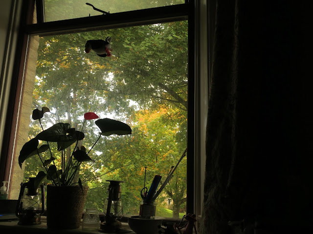 View of autumn trees through grubby window with plant in foreground.