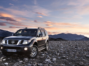 Nissan Pathfinder and Navara 2011 (4)