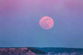 গোলাপি চাঁদ ফটো - গোলাপি চাঁদ ছবি - গোলাপি চাঁদ পিকচার  - গোলাপি চাঁদ ফটো -pink moon pic - insightflowblog.com - Image no 13