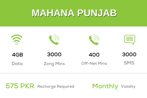 Zong Monthly Punjab Offer