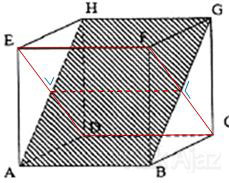 Bidang diagonal yang tegak lurus dengan ABGH