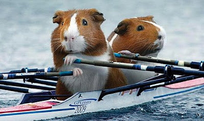 Grueling Guinea Pig Games of the 2009 Olympics