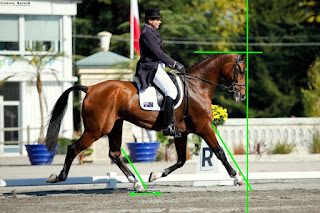 Ce qu'on doit rechercher en dressage, la bonne attitude.