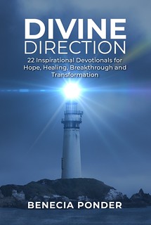 Divine Direction book cover