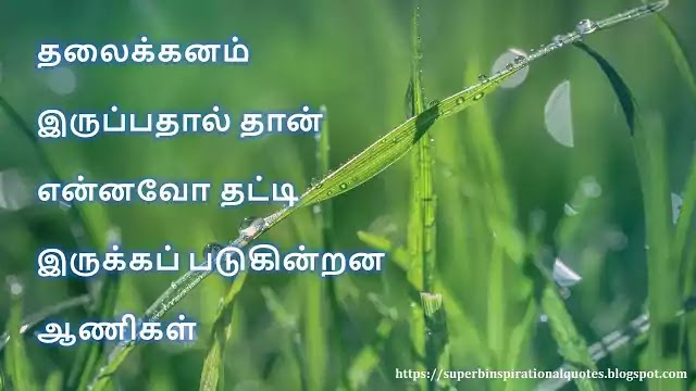 Tamil One line Quotes 29