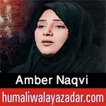 https://www.humaliwalayazadar.com/2013/01/amber-naqvi-nohay-2009-to-2013.html