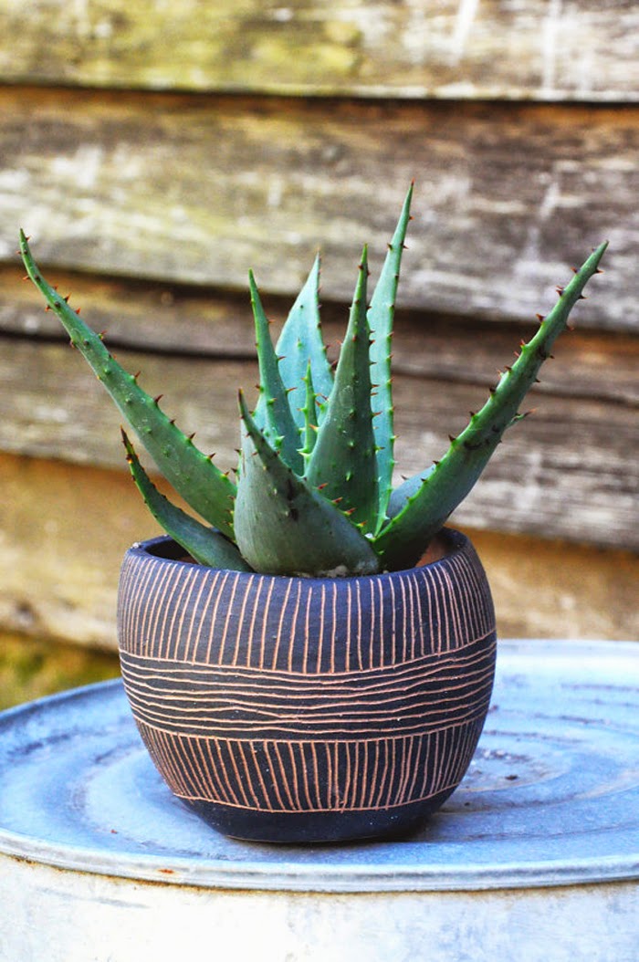 https://www.etsy.com/listing/184729053/black-orange-speckled-orb-table-planter?eref=poppytalk&ecpid=123