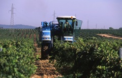 172100Desarrollo_rural