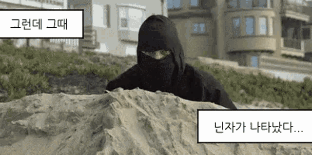 그런데 그때 닌자가 나타났다... 짤방 밈 gif