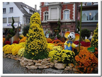 festival de las margaritas en alemania (2)