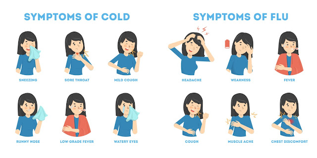 What are the Differences between Cold and Flu Symptoms?