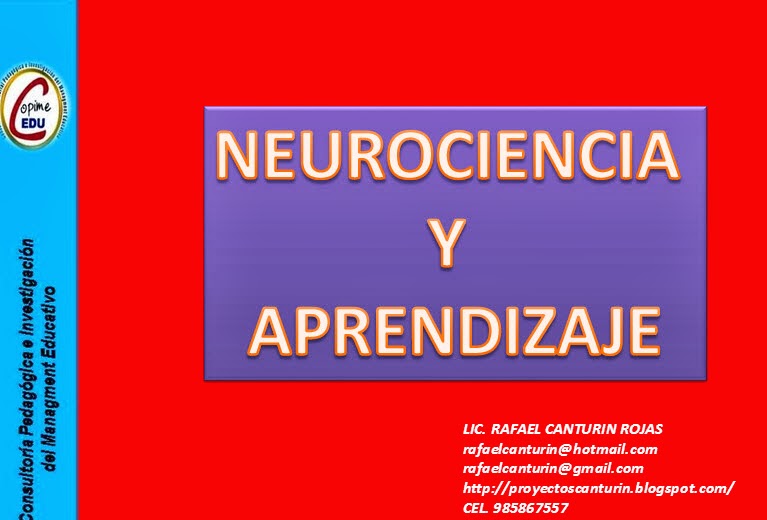  neurociencia