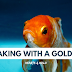 Speaking with a Goldfish