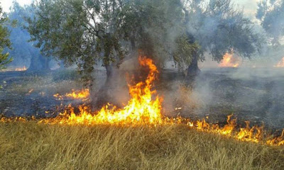 Î‘Ï€Î¿Ï„Î­Î»ÎµÏƒÎ¼Î± ÎµÎ¹ÎºÏŒÎ½Î±Ï‚ Î³Î¹Î± kainourgiopress Ï€Ï…ÏÎºÎ±Î³Î¹Î¬