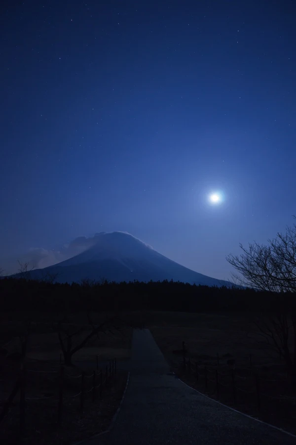 月明かりに照らされる富士山