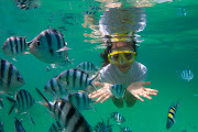 Thank you for your time Scott and we can't wait to visit you at Gaya Island . (snorkeler)