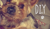 Diy dog
