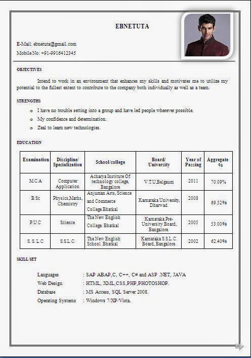 Resume Format For Fresher Chemist : Cv Format For Bsc 2 ...