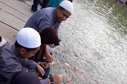 4 PERBEDAAN IKAN AIR TAWAR DAN IKAN AIR LAUT