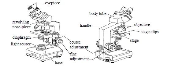 image of compound microscope