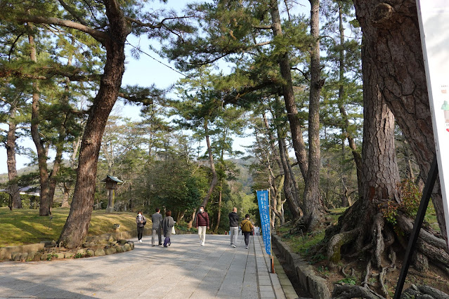 島根県出雲市大社町杵築東 出雲大社