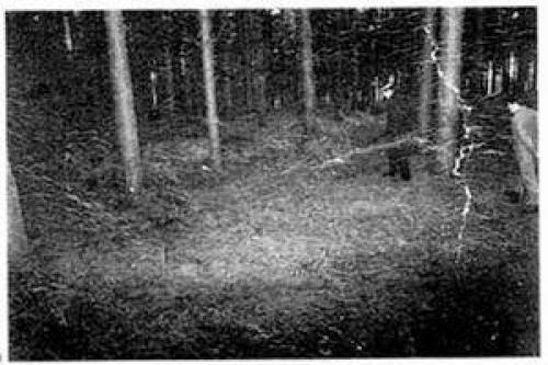 Ufos The Smell From Rendlesham Forest