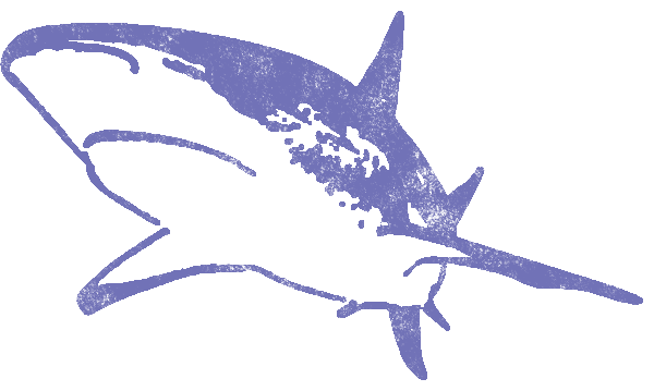 サメ顔 人気の公開画像