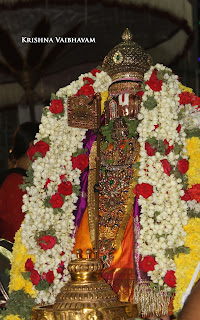 Sri Parthasarathy Perumal,Ippasi,HAmsa Vahanam, Manavala Maamunigal,Purappadu,2016, Video, Divya Prabhandam,Triplicane,Thiruvallikeni,Utsavam,