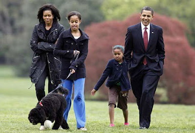 Portuguese-Water-Dog-Training-obama