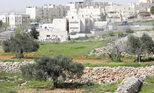 JERUSALEM’S RAMAT SHLOMO neighborhood.