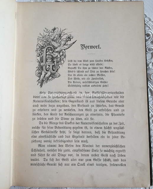 Naturgeschichtliche Charakterbilder. Mit sechsundzwanzig Original-Handzeichnungen und Dichtungen von dem Verfasser