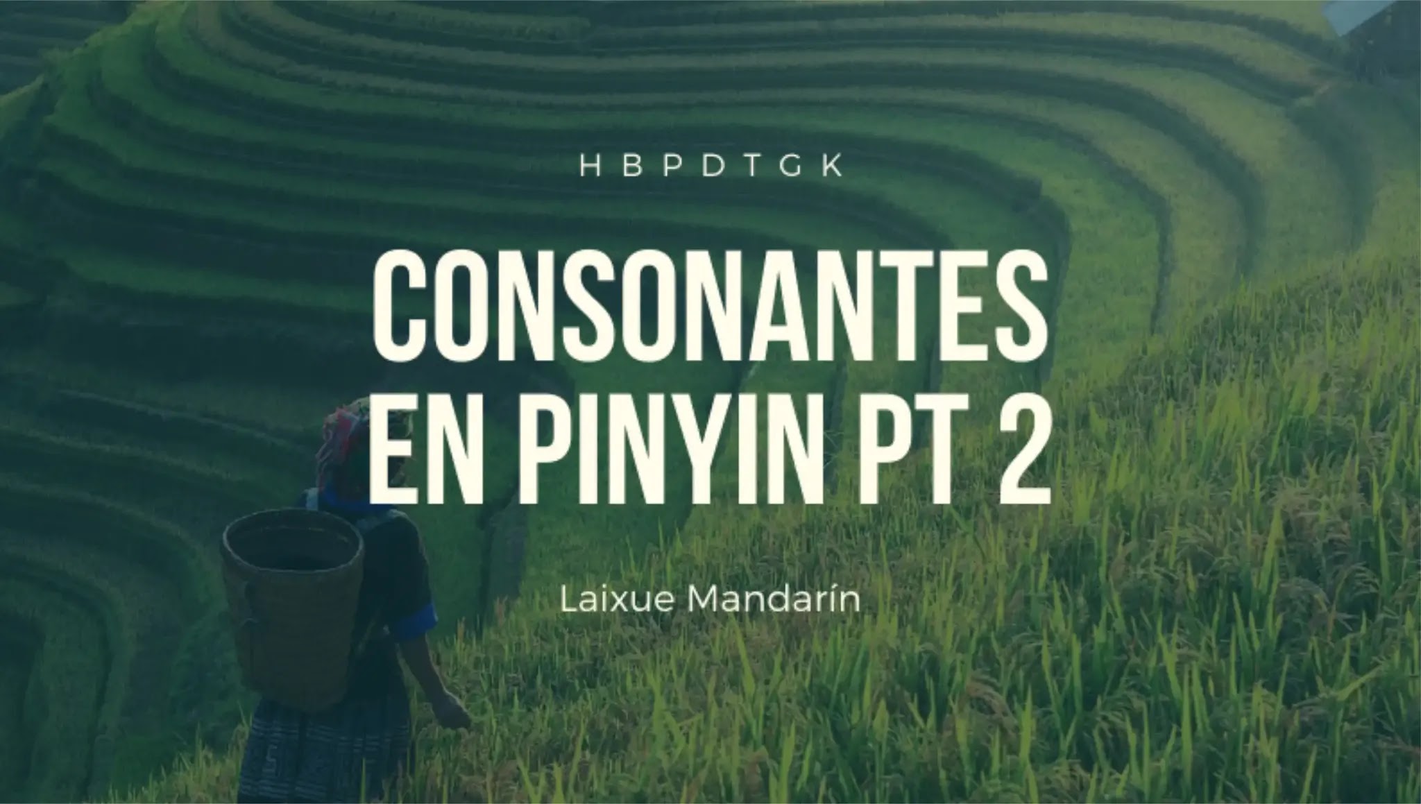 Lección #7: Consonantes en Pinyin Pt. 2 | H, B, P, D, T, G, K