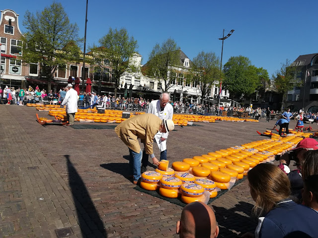 Alkmaar - serowy targ i nie tylko