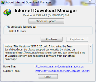 Internet Download Manager Versi 6.25 Build 2